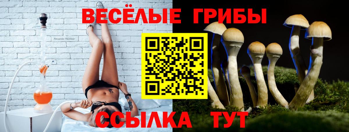  КОКАИН Долгопрудный